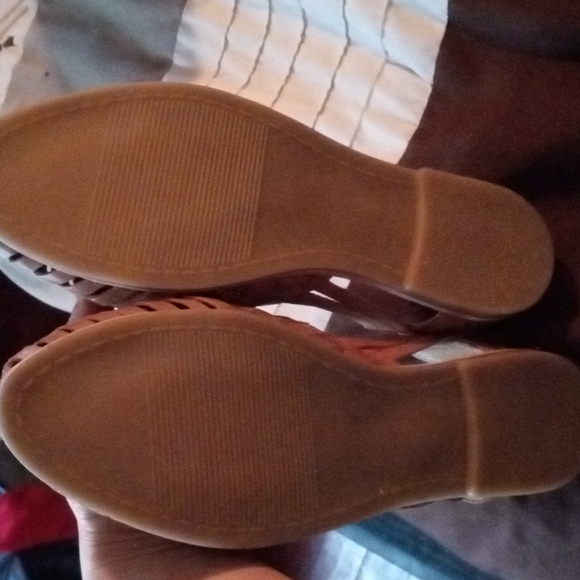 Agave Girl 7 page - Picture 7 of 7